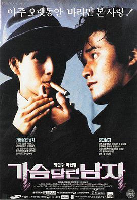 逆光飞翔